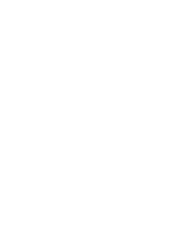 killer bunny